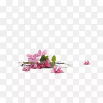 花卉设计切花花瓣花-空若网 花卉设计切花花瓣花-空若网