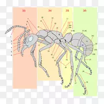 �����������-������