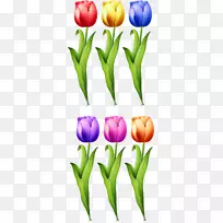 �����㻨��ͼ.�ֻ�������-������