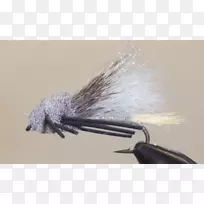 人工蝇类害虫-空若网 人工蝇类害虫-空若网