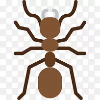 昆虫蚂蚁电脑图标害虫剪贴画昆虫-空若网 昆虫蚂蚁电脑图标害虫剪贴画昆虫-空若网