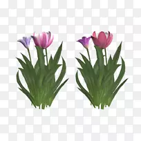 郁金香花剪贴画-彩色郁金香-空若网 郁金香花剪贴画-彩色郁金香-空若网