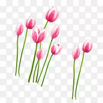 �����㻨��ۺ�������-������