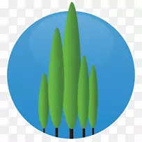 天空公司-公司-空若网 天空公司-公司-空若网