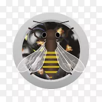 �׵��۷��˹͡���ƹ�Ӧˮ���������-�۷�-������