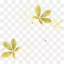 花叶花瓣植物茎花-空若网 花叶花瓣植物茎花-空若网