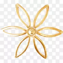 ��������.�ƽ�-������