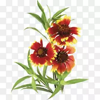 花束女画-花-空若网 花束女画-花-空若网