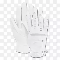 ���г�������������Ա������ָ-������