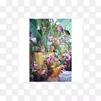 花卉设计动物群开花植物.设计-空若网 花卉设计动物群开花植物.设计-空若网