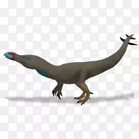 伶盗龙动物-动物-空若网 伶盗龙动物-动物-空若网