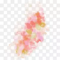 Ë®²Ê»»¨»¨-¿ÕÈôÍø Ë®²Ê»»¨»¨-¿ÕÈôÍø