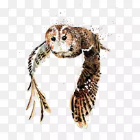 »ÆÃ«Ã¨Í·Ó¥Ë®²Ê»Ë®²Êèͷӥˮ²Ê»-¿ÕÈôÍø »ÆÃ«Ã¨Í·Ó¥Ë®²Ê»Ë®²Êèͷӥˮ²Ê»-¿ÕÈôÍø