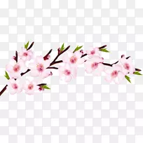 樱花-空若网 樱花-空若网