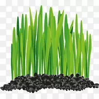 ��������������-������