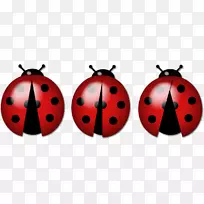 瓢虫幸运科昆虫-空若网 瓢虫幸运科昆虫-空若网