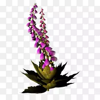 花卉设计切花-空若网 花卉设计切花-空若网