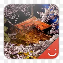 ��׿���غ�ݮ�ֻ�-������