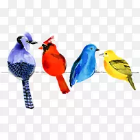 鸟水彩画鹦鹉画卡通-鸟-空若网 鸟水彩画鹦鹉画卡通-鸟-空若网