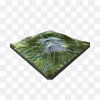 Ҷ-������