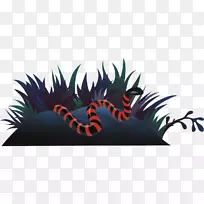 ���ж��������-����-������