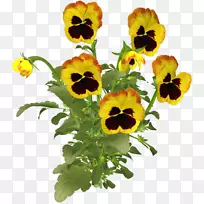 潘西剪贴画-空若网 潘西剪贴画-空若网