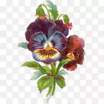 花卉设计切花玫瑰花-空若网 花卉设计切花玫瑰花-空若网