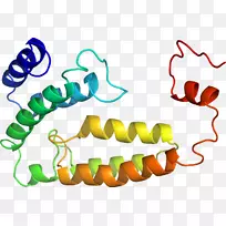 人体首饰有机体线剪贴画线-空若网 人体首饰有机体线剪贴画线-空若网