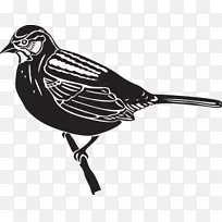 喙-空若网 喙-空若网