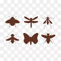 昆虫蜂夹艺术-昆虫背部-空若网 昆虫蜂夹艺术-昆虫背部-空若网