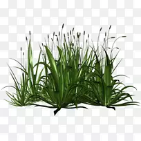 ������-������