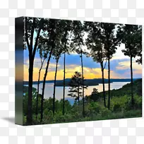 ��������Ȱ�������������-������