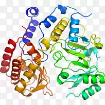 人体首饰有机体线剪贴画线-空若网 人体首饰有机体线剪贴画线-空若网