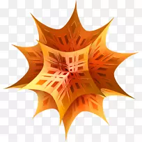 Wolfram Mathematica Wolfram�о�Wolfram���Լ�������������ѧ-������