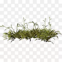 红色剪贴画-绿草-空若网 红色剪贴画-绿草-空若网