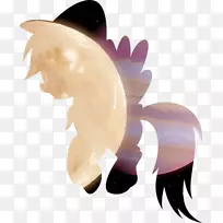 马马-空若网 马马-空若网