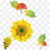 剪贴画-空若网 剪贴画-空若网