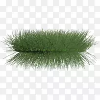 ˮ��ֲ���-ֲ��-������