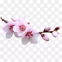 ����-������