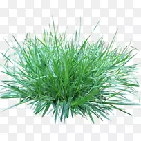 �����ֽ��ֽ������-������