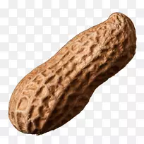 ���������ʳ�������-������