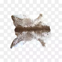 ��ţ��ëƤ��̺�ذ�-������