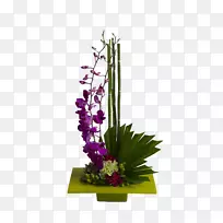 花送天线花瓣-花-空若网 花送天线花瓣-花-空若网