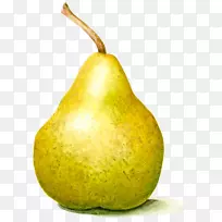 梨纸水彩画-梨-空若网 梨纸水彩画-梨-空若网