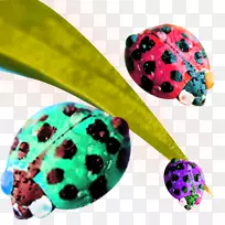 ����ư��-����Ҷ-������