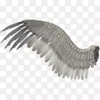 ��������ѹ������ѹ��-������