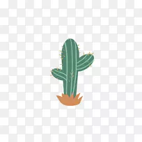 �����ƿ�-��ɫ������-������