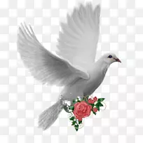 桌面壁纸动画电影-空若网 桌面壁纸动画电影-空若网