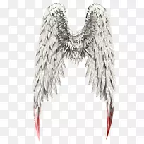 ¾±-¿ÕÈôÍø ¾±-¿ÕÈôÍø