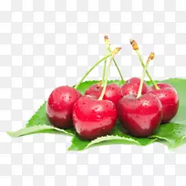 ��ݮ�ͰͶ�˹ӣ����ľ��Ӱ-ӣ��-������